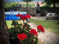 Geranio y piscina en La Casa de Paco Martín 2